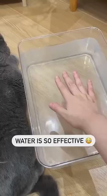 Pet steam brush