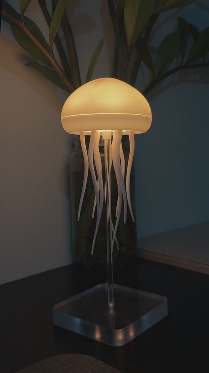Jellyfish lamp