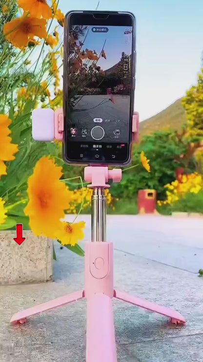 Selfie stick R1S