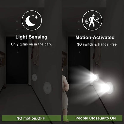 Body induction sensor light