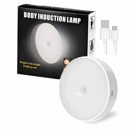 Body induction sensor light