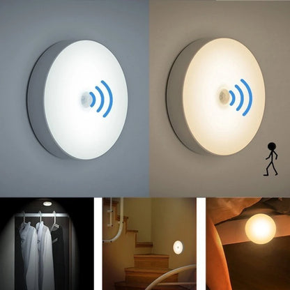 Body induction sensor light